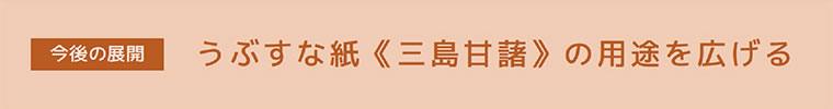 【今後の展望】うぶすな紙≪三島甘藷≫の用途を広げる